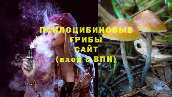 PSILOCYBIN Заводоуковск