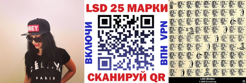 сколько стоит  Губкинский  Марки NBOMe 1,5мг 