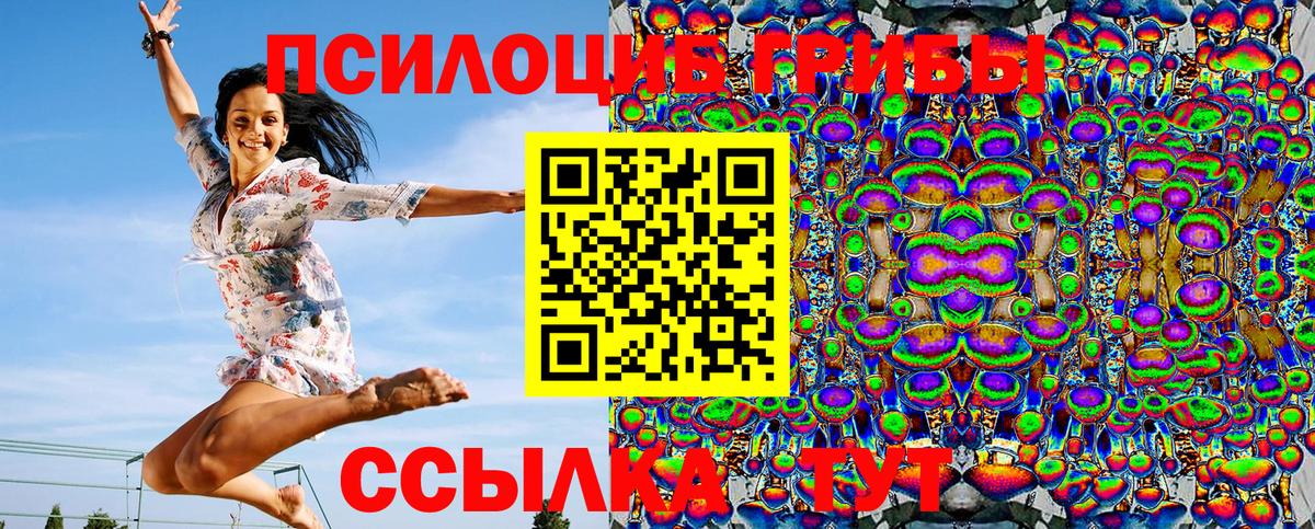 Псилоцибиновые грибы мицелий Губкинский