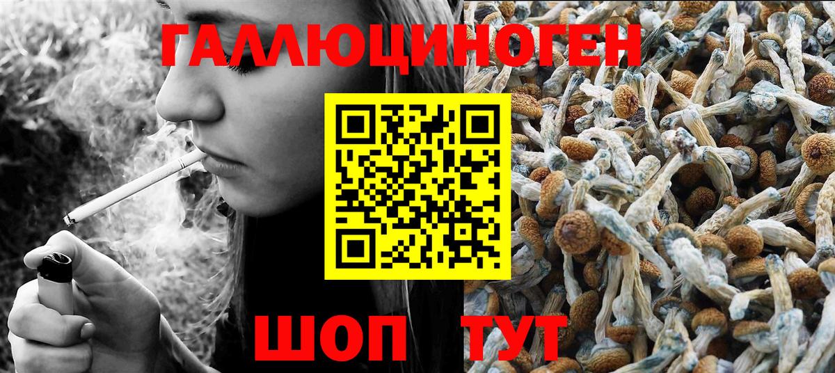 Псилоцибиновые грибы прущие грибы  Псилоцибиновые грибы Psilocybine cubensis  Губкинский  Вход с VPN 