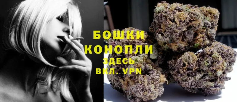 Конопля OG Kush  купить наркотик  Губкинский 