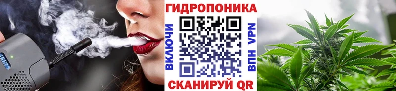 Конопля план  Губкинский 